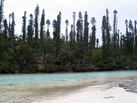 ile_des_pins_52_piscine_naturelle