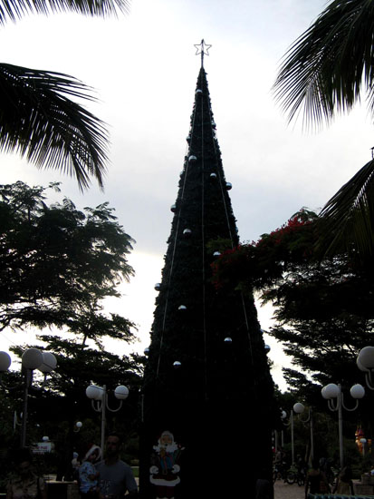 noumea_place_cocotiers_13