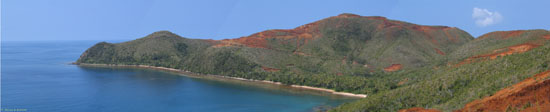 pano_tamanu_thiocop