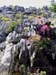 grotte_hienghene_2cop