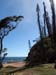 poe_baie_tortues_2